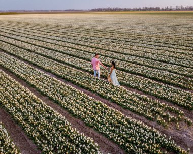 Hollanda Noordoostpolder Avrupa 'da günbatımında lale çiçeği tarlası, Hollanda' da çiçek tarlasında poz veren mutlu erkek ve kadın çifti