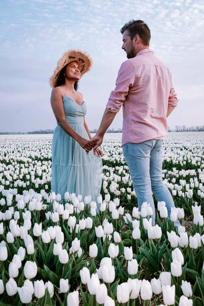 Tulpenbloemenveld bij zonsondergang in Nederland Noordoostpolder Europe, gelukkig jong stel mannen en vrouw met jurk poseren in bloemenveld in Nederland — Stockfoto