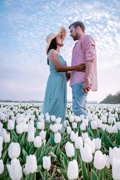 Tulpenbloemenveld bij zonsondergang in Nederland Noordoostpolder Europe, gelukkig jong stel mannen en vrouw met jurk poseren in bloemenveld in Nederland — Stockfoto