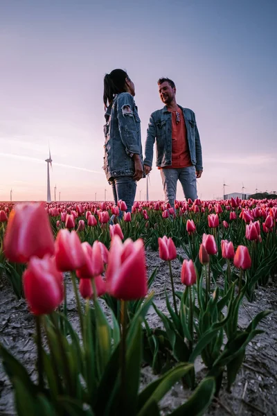 Hollanda Noordoostpolder Avrupa 'da günbatımında lale çiçeği tarlası, Hollanda' da çiçek tarlasında poz veren mutlu erkek ve kadın çifti — Stok fotoğraf