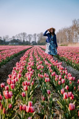 Hollanda 'daki lale çiçeği tarlası, lale çiçeği tarlasında elbisesi ve çiçekli şapkası olan genç bir kadın. 