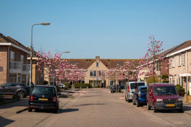 Urk Hollanda Nisan 2020, Corona virüsü sırasında köyün ön tarafına park edilmiş araba. Evden çalışan 19 kişi var.