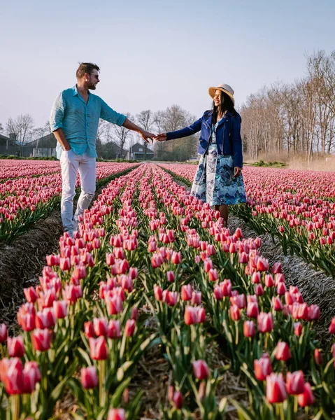 Tulipán květinové pole během západu slunce soumraku v Nizozemsku Noordoostpolder Evropa, šťastný mladý pár muži a žena v šatech pózovat na poli květin v Nizozemsku — Stock fotografie