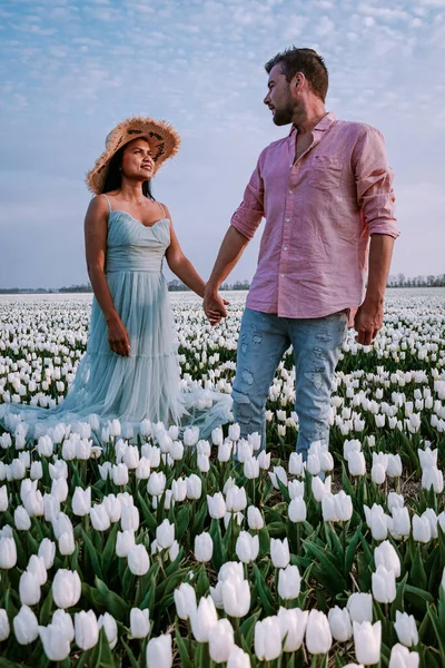 摘要：荷兰北部欧洲，在黄昏的暮色中，一对快乐的年轻夫妇，身穿婚纱，在荷兰的花坛上摆姿势 — 图库照片