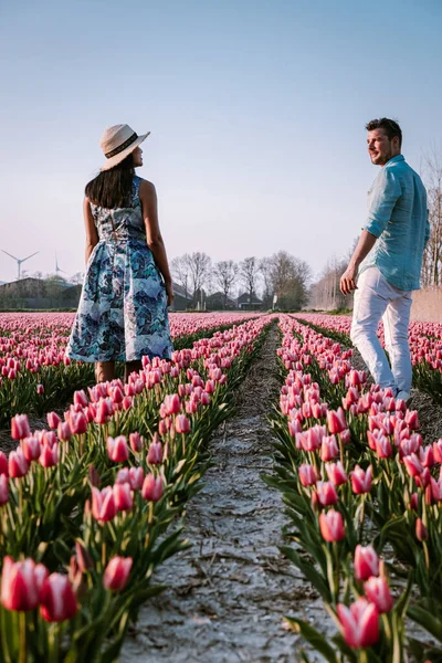 Tulipán květinové pole během západu slunce soumraku v Nizozemsku Noordoostpolder Evropa, šťastný mladý pár muži a žena v šatech pózovat na poli květin v Nizozemsku — Stock fotografie