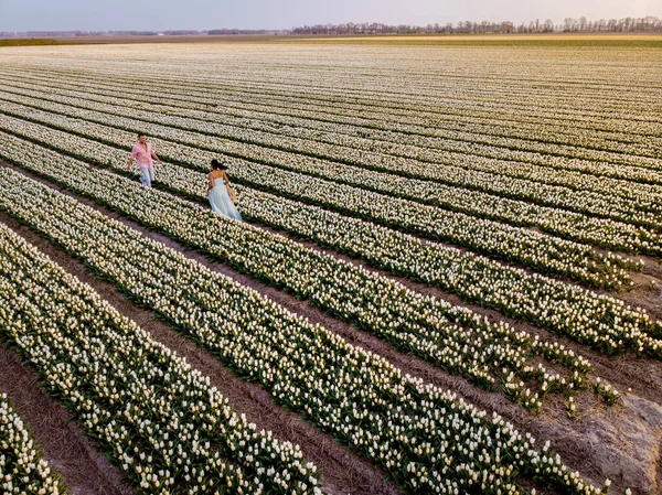 Campo de flores de tulipán durante el atardecer en los Países Bajos Noordoostpolder Europe, feliz pareja de hombres y mujeres jóvenes con vestido posando en el campo de flores en los Países Bajos — Foto de Stock
