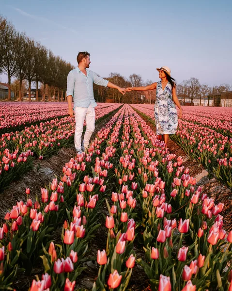 摘要：荷兰北部欧洲，在黄昏的暮色中，一对快乐的年轻夫妇，身穿婚纱，在荷兰的花坛上摆姿势 — 图库照片