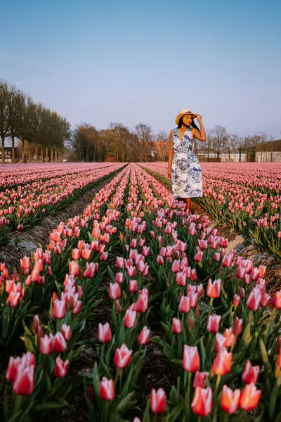 Tulp bloemenveld in Nederland, jonge vrouw met jurk in tulp bloemenveld, meisje met jurk en hoed in bloem ingediend — Stockfoto