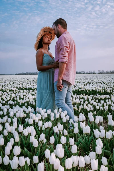 Tulpenbloemenveld bij zonsondergang in Nederland Noordoostpolder Europe, gelukkig jong stel mannen en vrouw met jurk poseren in bloemenveld in Nederland — Stockfoto