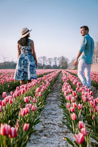 Tulipán květinové pole během západu slunce soumraku v Nizozemsku Noordoostpolder Evropa, šťastný mladý pár muži a žena v šatech pózovat na poli květin v Nizozemsku — Stock fotografie