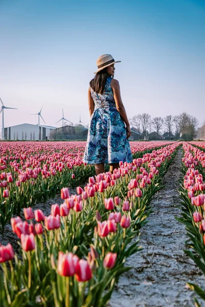 Hollanda 'daki lale çiçeği tarlası, lale çiçeği tarlasında elbisesi ve çiçekli şapkası olan genç bir kadın. — Stok fotoğraf