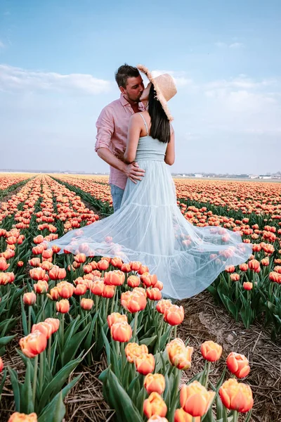 Tulip flower field during sunset dusk in the Netherlands Noordoostpolder Europe, happy young couple men and woman with dress posing in flower field in the Netherlands — Stock Photo, Image