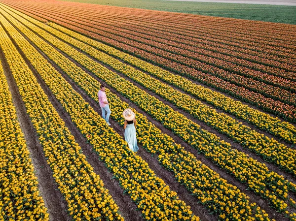 Campo de flores de tulipán durante el atardecer en los Países Bajos Noordoostpolder Europe, feliz pareja de hombres y mujeres jóvenes con vestido posando en el campo de flores en los Países Bajos — Foto de Stock