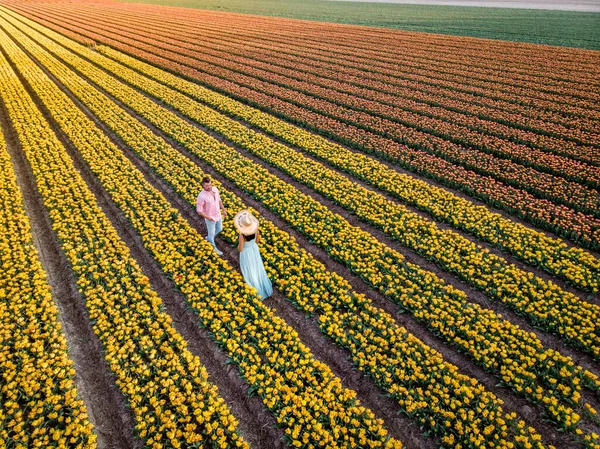 Campo de flores de tulipán durante el atardecer en los Países Bajos Noordoostpolder Europe, feliz pareja de hombres y mujeres jóvenes con vestido posando en el campo de flores en los Países Bajos — Foto de Stock