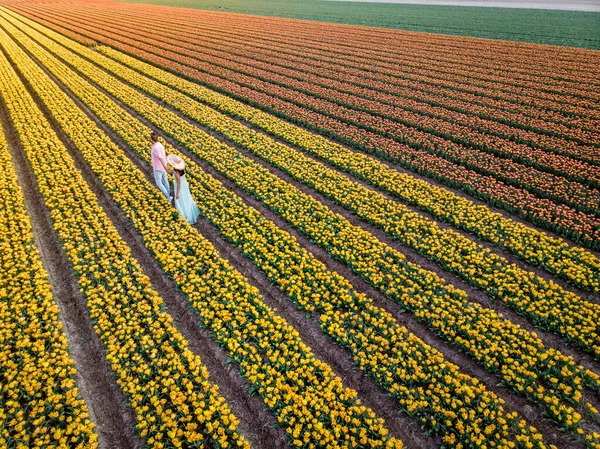 Тюльпан цветок поля во время заката заката заката в Нидерландах Noordoostpolder Европы, счастливая молодая пара мужчин и женщин в платье позирует в цветочном поле в Нидерландах — стоковое фото