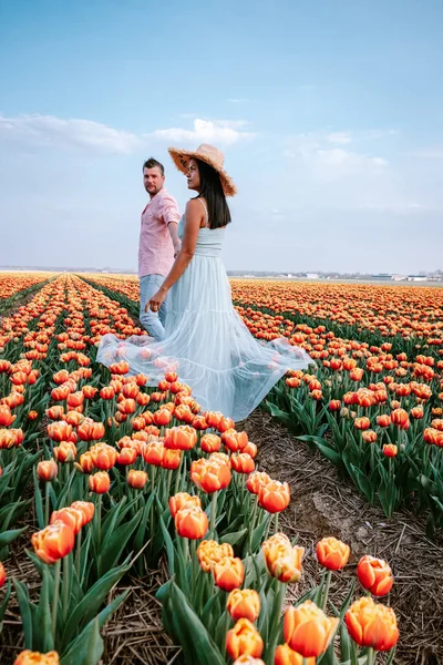 Квіткове поле тюльпанів під час заходу сонця в Нідерландах, щасливе молоде подружжя чоловіків і жінок з сукнею на квітковому полі в Нідерландах. — стокове фото