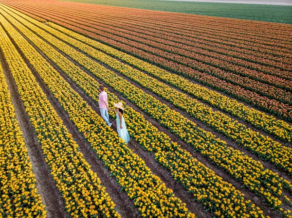 Campo de flores de tulipán durante el atardecer en los Países Bajos Noordoostpolder Europe, feliz pareja de hombres y mujeres jóvenes con vestido posando en el campo de flores en los Países Bajos — Foto de Stock