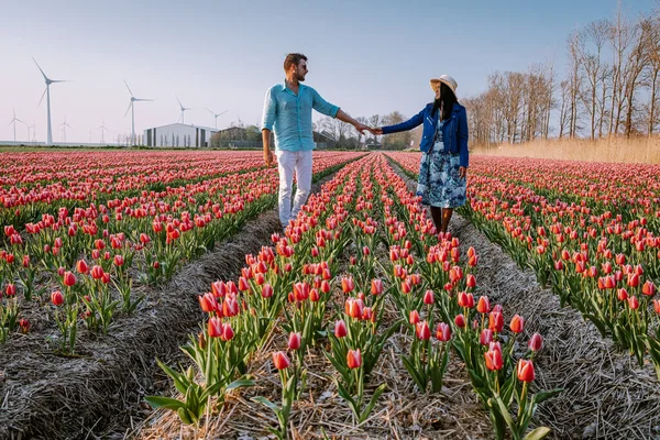 Tulipán květinové pole během západu slunce soumraku v Nizozemsku Noordoostpolder Evropa, šťastný mladý pár muži a žena v šatech pózovat na poli květin v Nizozemsku — Stock fotografie
