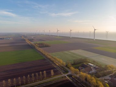 Hollanda 'nın Lisse yakınlarındaki lale tarlaları, Hollanda' nın Ampul Bölgesi İlkbaharda tamamen çiçek açmış, renkli lale tarlaları