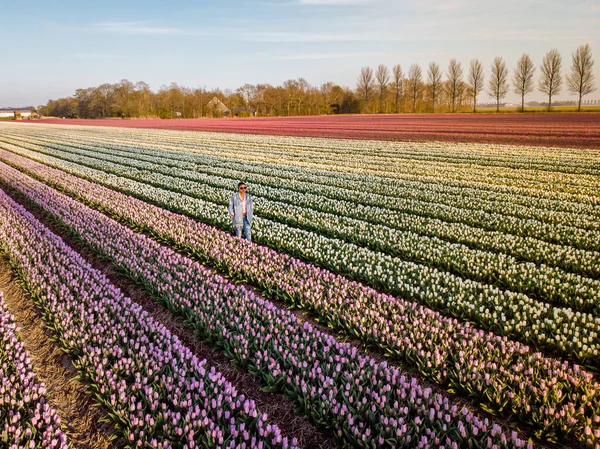 Drone vista aérea desde arriba a la mujer en el campo de tulipanes, Noordoostpolder Países Bajos, región bulbo Holanda en plena floración durante la primavera, coloridos campos de tulipanes — Foto de Stock