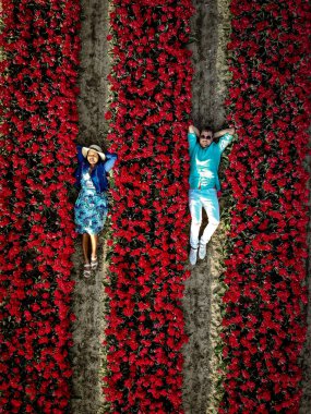 İlkbaharda Hollanda 'nın Noordoostpolder, Hollanda' nın Ampul Bölgesi 'ndeki lale tarlalarındaki birkaç erkek ve kadına yukarıdan insansız hava aracı göründü.