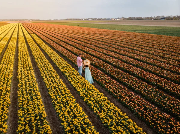 Вид сверху на беспилотник у пары мужчин и женщин на тюльпановом поле, Noordoostpolder Нидерланды, луковица региона Голландия в полном расцвете весной, красочные поля тюльпанов — стоковое фото