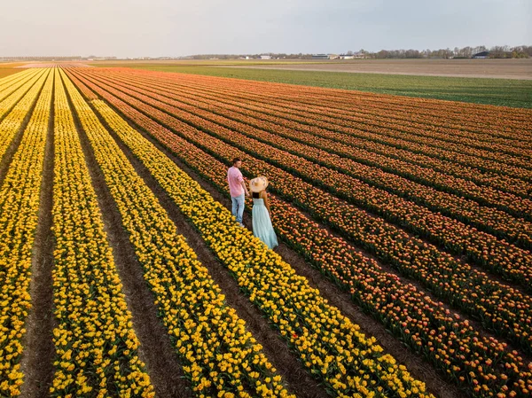 Вид сверху на беспилотник у пары мужчин и женщин на тюльпановом поле, Noordoostpolder Нидерланды, луковица региона Голландия в полном расцвете весной, красочные поля тюльпанов — стоковое фото
