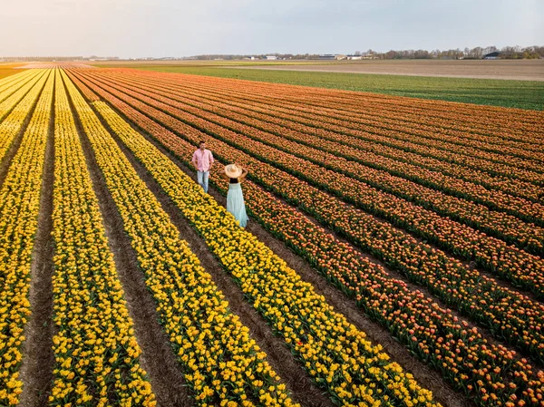 İlkbaharda Hollanda 'nın Noordoostpolder, Hollanda' nın Ampul Bölgesi 'ndeki lale tarlalarındaki birkaç erkek ve kadına yukarıdan insansız hava aracı göründü. — Stok fotoğraf