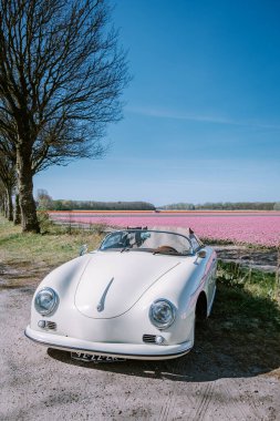 Lisse Hollanda 'da. Çift eski bir spor arabayla yolculuğa çıkıyor. Beyaz Porsche 356 Speedster, Hollanda çiçek soğanı bölgesi lale tarlalarıyla.