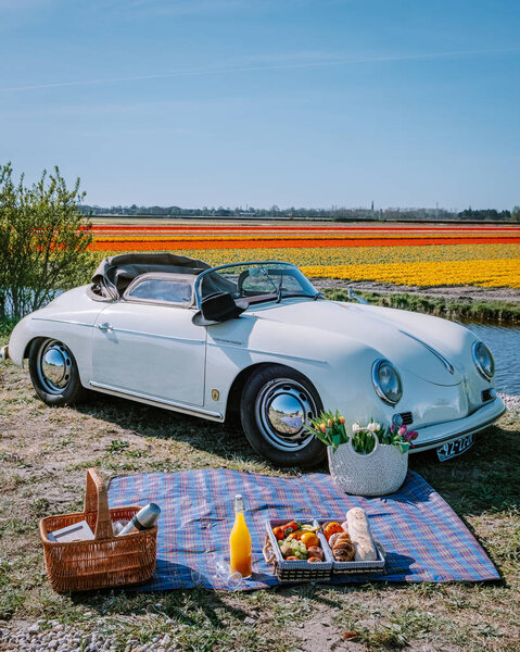 Lisse Netherlands ,. couple doing a road trip with a old vintage sport car White Porsche 356 Speedster, Dutch flower bulb region with tulip fields