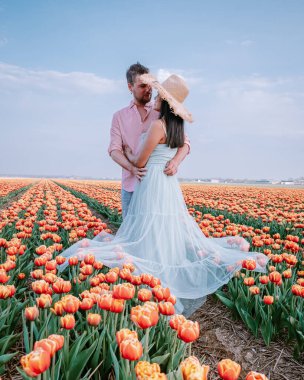 couple men and woman in flower field in the Netherlands during Spring, orange red tulips field near Noordoostpolder Flevoland Netherlands, men and woman in Spring evening sun clipart