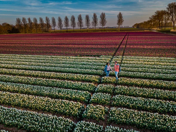 春のオランダの花畑で2人の男女、春の夜のオランダのNoordoostpolder Flevoland近くのオレンジ色の赤いチューリップ畑、男性と女性 — ストック写真