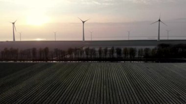 Yeldeğirmeni park türbinleri, Hollanda 'daki kırmızı lale çiçeği tarlası, çiçeklerle dolu rüzgar değirmeni yeşil enerji.