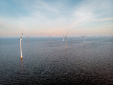 Noordoostpolder Hollanda 'sında renkli lale tarlaları olan yel değirmeni çiftliği, denizde ve karada yeşil enerji yel değirmeni türbini