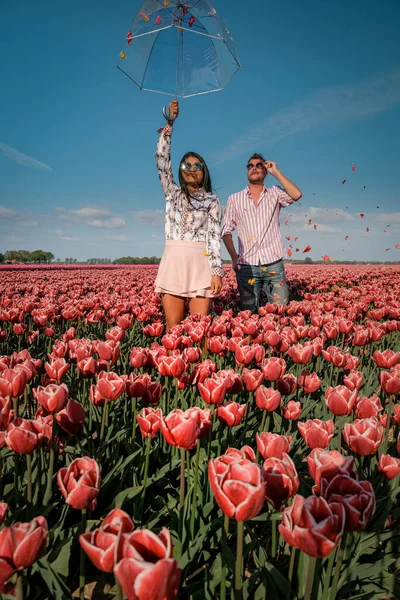 Paar Männer und Frauen in Blumenfeld in den Niederlanden im Frühling, orange rote Tulpenfeld in der Nähe von Noordoostpolder Flevoland Niederlande, Männer und Frauen in der Frühlingsabendsonne — Stockfoto