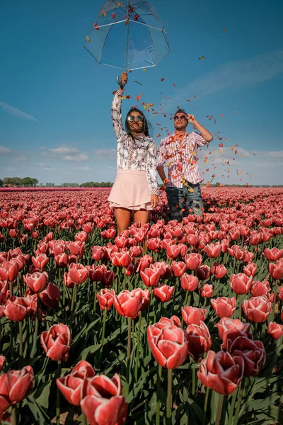 봄 동안 네덜란드의 꽃밭에는 붉은 색 튤립 밭에 사는 남자와 여자가 있고, 정오의 햇살에는 남자와 여자가 있습니다. — 스톡 사진