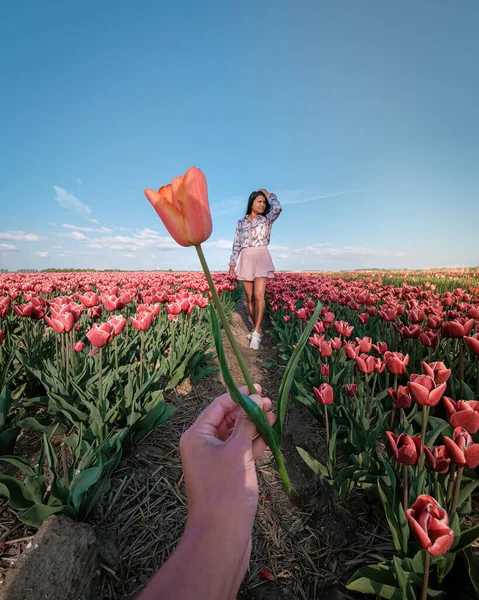 Baharda Hollanda 'daki çiçek tarlasında bir kadın, Noordoostpolder Flevoland Hollanda yakınlarında turuncu kırmızı laleler, bahar akşamı güneşi altında erkek ve kadın — Stok fotoğraf