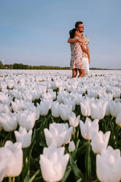 네덜란드 의노 르 드 보드 폴더, 흰 용수철 튤립 밭에서 봄철에 있는 흰 튤립 밭 — 스톡 사진
