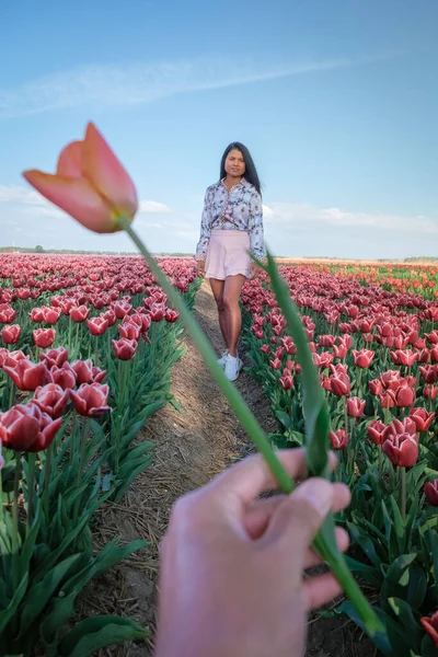 Žena na poli květin, mladá dívka na poli tulipánů v Nizozemsku během jarní sezóny — Stock fotografie