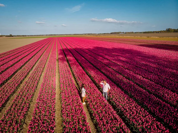 Campos tulipanes en los Países Bajos, pareja de hombres y mujeres en el campo de flores durante la primavera en los Países Bajos — Foto de Stock