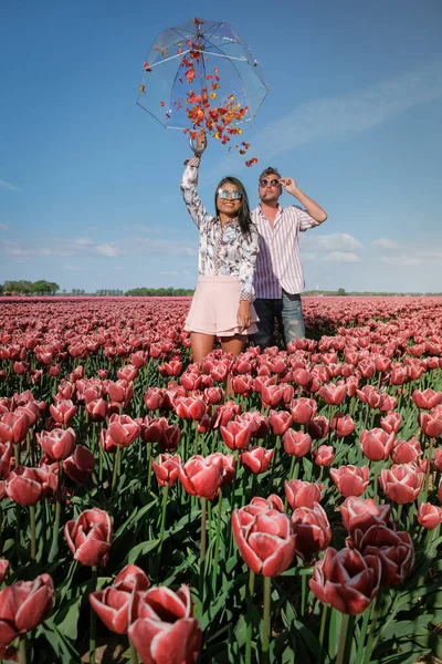 Campos tulipanes en los Países Bajos, pareja de hombres y mujeres en el campo de flores durante la primavera en los Países Bajos — Foto de Stock