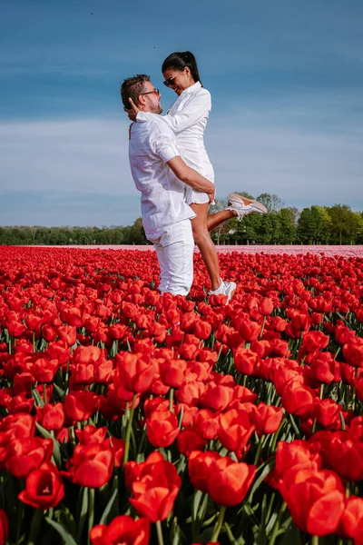 Tulpenbloemen van het voormalige eiland Schokland Nederland, rode tulpen in het voorjaarsseizoen in het nederlandse Europa — Stockfoto