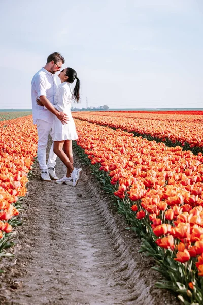 荷兰的郁金香田里，春天里，在荷兰的花田里，一对男女在一起 — 图库照片