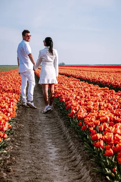 Tulpenfelder in den Niederlanden, Paar Männer und Frauen auf einem Blumenfeld im Frühling in den Niederlanden — Stockfoto