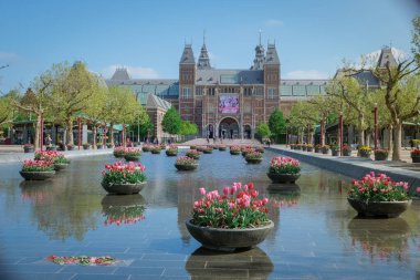 Amsterdam Hollanda Nisan 2020, Avrupa 'da Corona covid 19 salgını sırasında Amsterdam Rijksmuseum meydanının neredeyse boş olması ve müzenin önünde bahar laleleri olması.