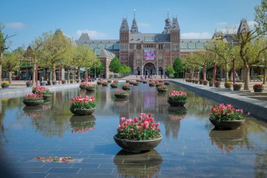 Amsterdam Hollanda Nisan 2020, Avrupa 'da Corona covid 19 salgını sırasında Amsterdam Rijksmuseum meydanının neredeyse boş olması ve müzenin önünde bahar laleleri olması.