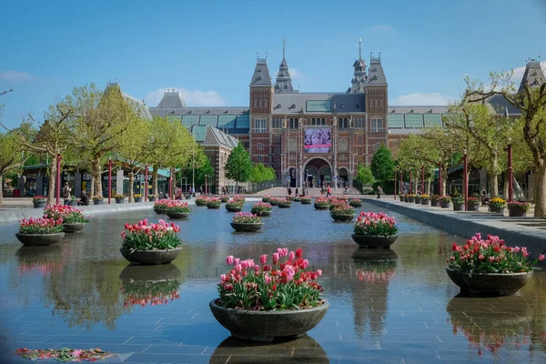 Amsterdam Nederland april 2020, bijna leeg Amsterdam Rijksmuseumplein tijdens de corona covid 19 uitbraak virus in Europa met lente tulpen voor het museum — Stockfoto