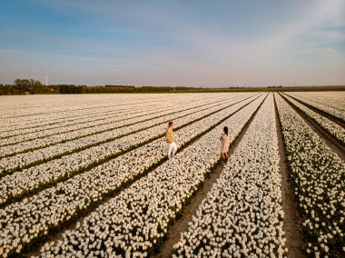 Hollanda 'da bahar boyunca çiçek tarlasında yürüyen çift, Tulip tarlasında erkek ve kız, Noordoostpolder Hollanda' da renkli çiçek çizgileri içinde erkek ve kadın.