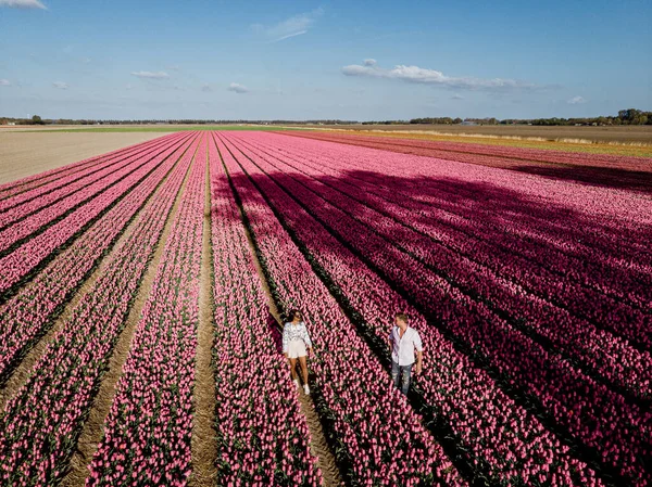Hollanda 'da bahar boyunca çiçek tarlasında yürüyen çift, Tulip tarlasında erkek ve kız, Noordoostpolder Hollanda' da renkli çiçek çizgileri içinde erkek ve kadın. — Stok fotoğraf