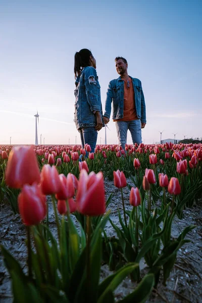 Couple walking in flower field during Spring in the Netherlands, boy and girl in Tulip field, men and woman in colorful lines of flowers in the Noordoostpolder Holland — Stock Photo, Image